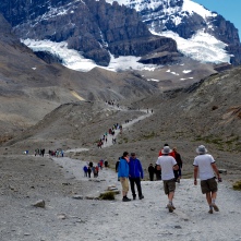 Path up to the Columbia Ice Field