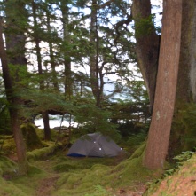 Camping on the soft moss