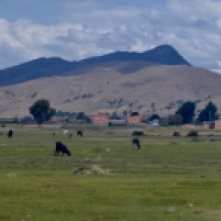 Farms just outside of El Alto on the way to Lake Titicaca (Bolivia)