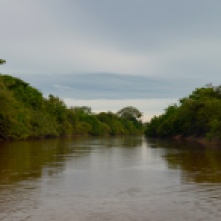 Yacuma River, Pampas Bolivia
