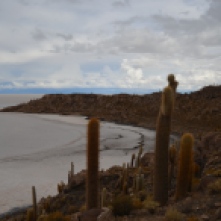 Cactus Island in the middle of the Salt Flats tour Bolivia