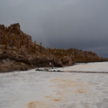 Cactus Island in the middle of the Salt Flats tour Bolivia