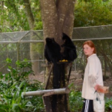 Naomi and two spider monkeys